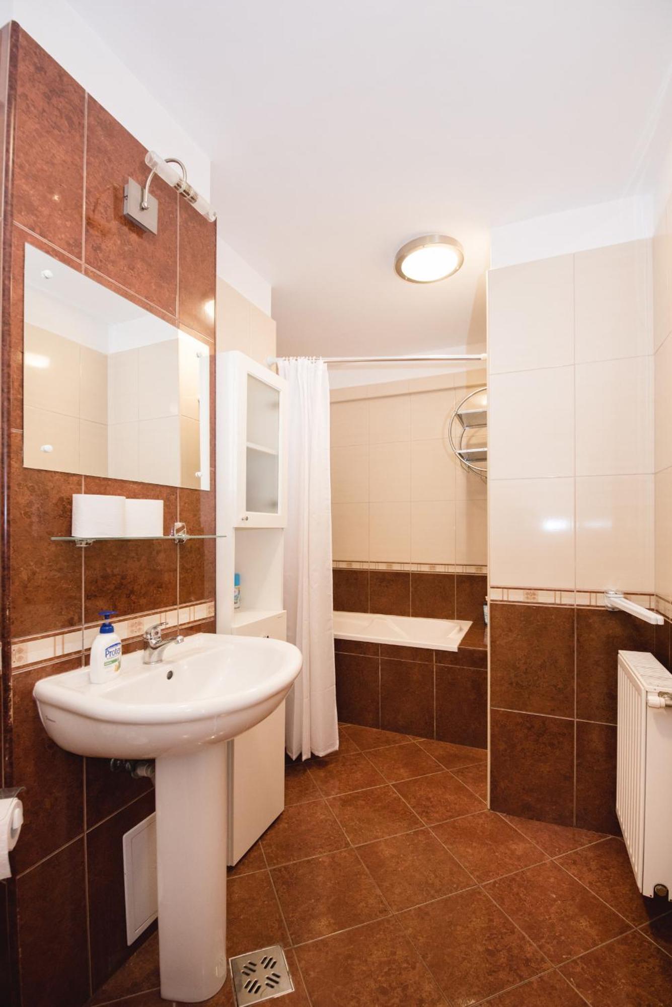 Oltului Apartment ブラショフ エクステリア 写真