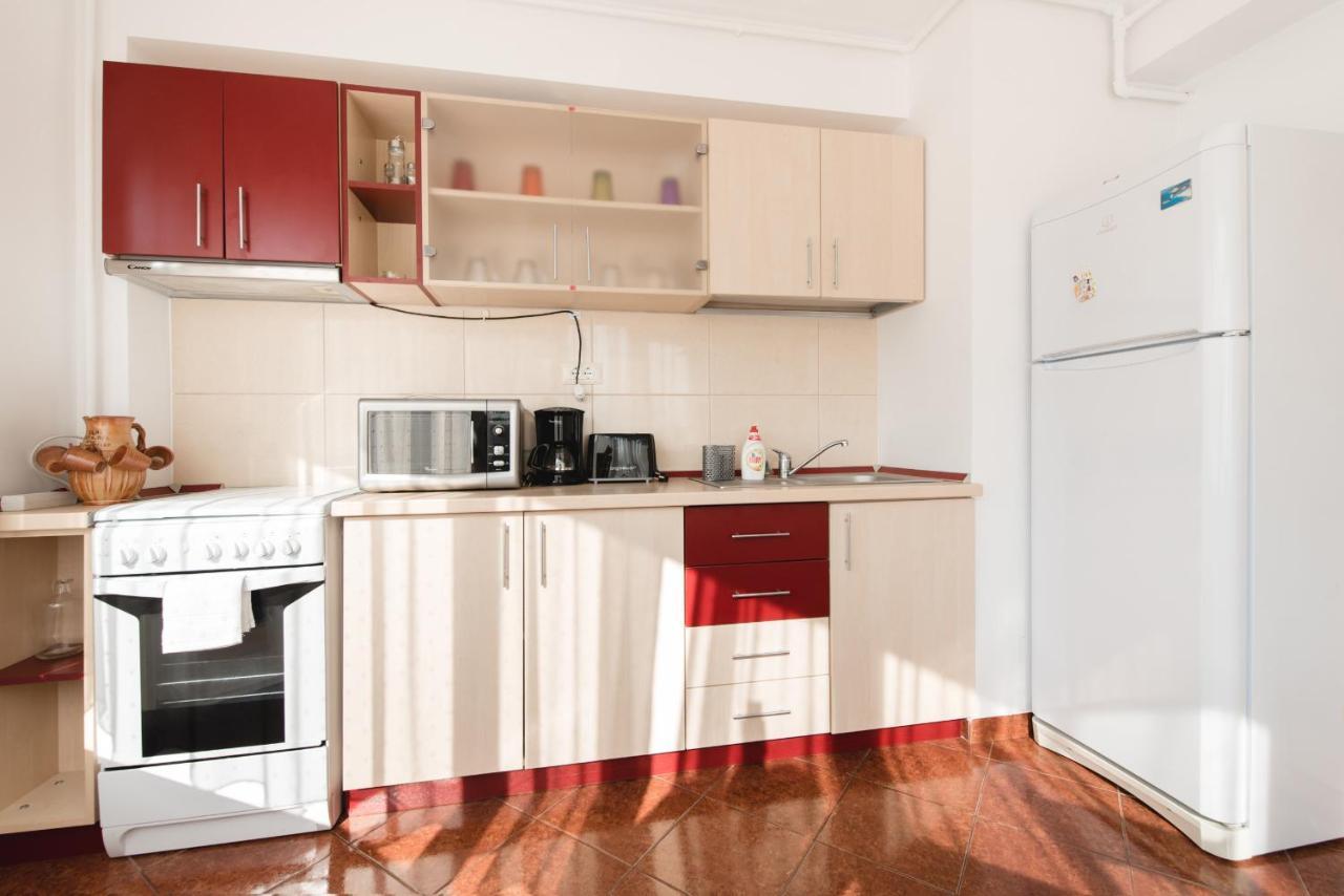 Oltului Apartment ブラショフ エクステリア 写真