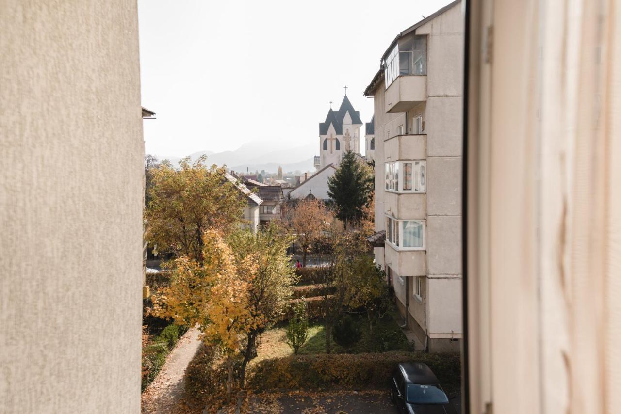 Oltului Apartment ブラショフ エクステリア 写真