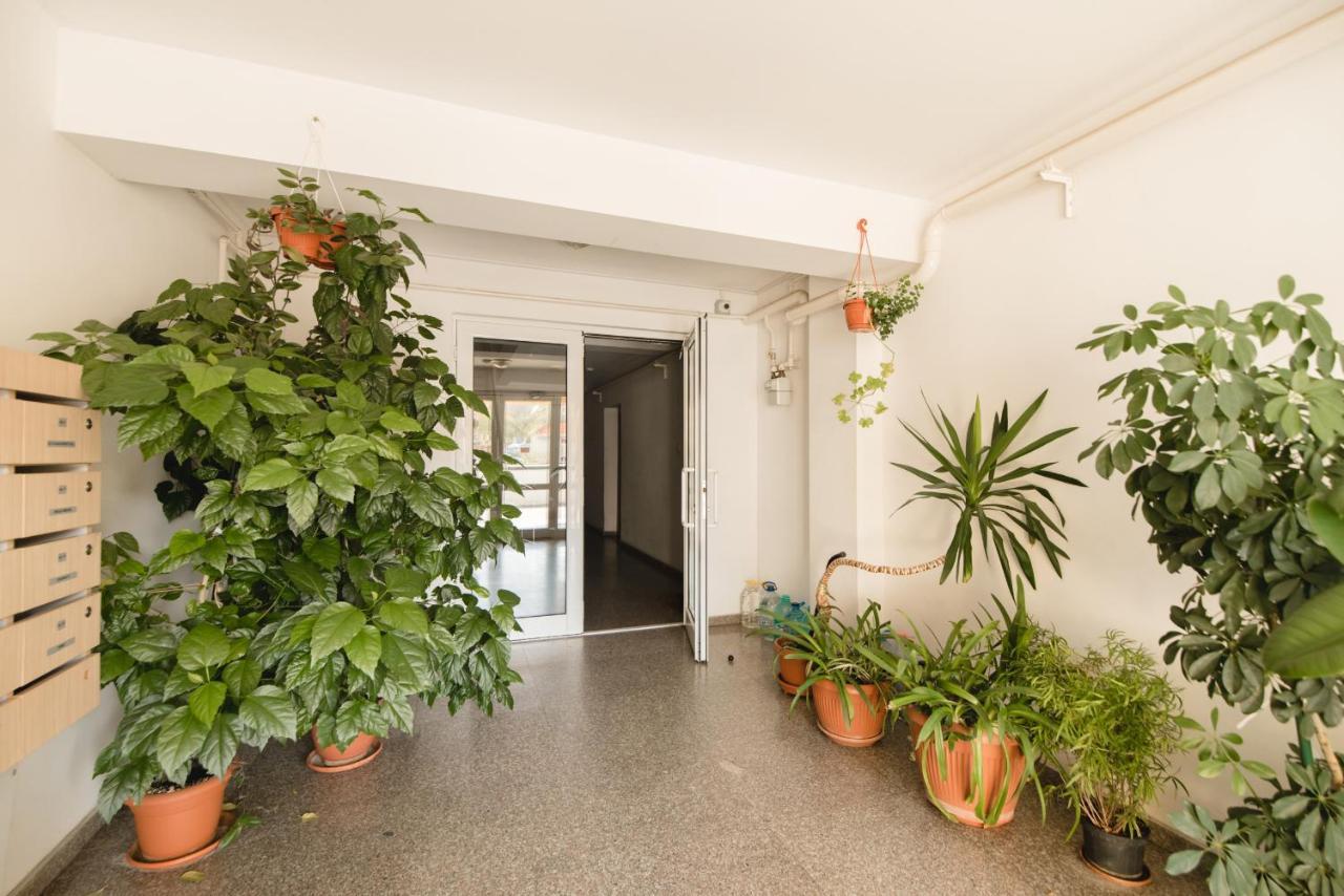 Oltului Apartment ブラショフ エクステリア 写真